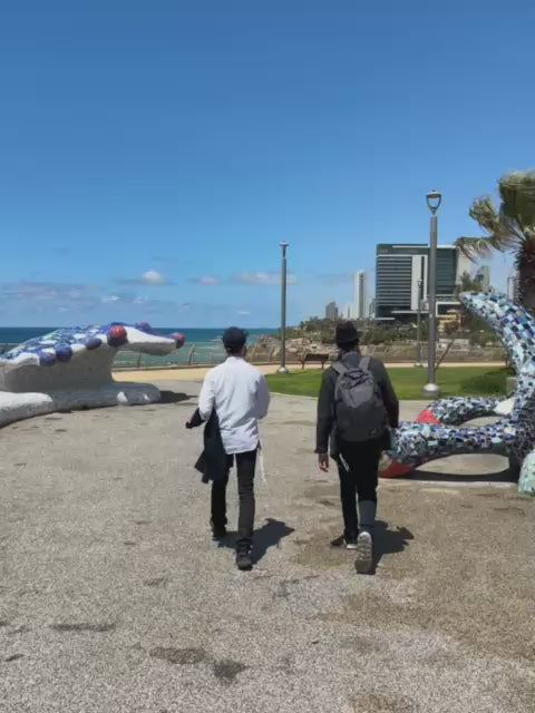 Carica il video: 